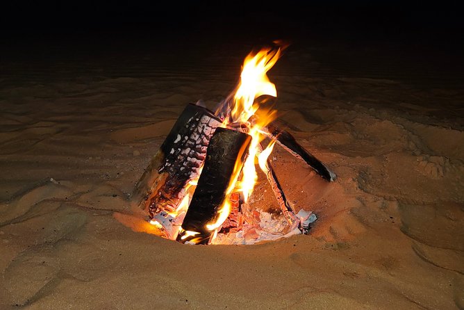 Abu Dhabi Private Desert Camping With BBQ Dinner - Safari driving among the golden dunes
