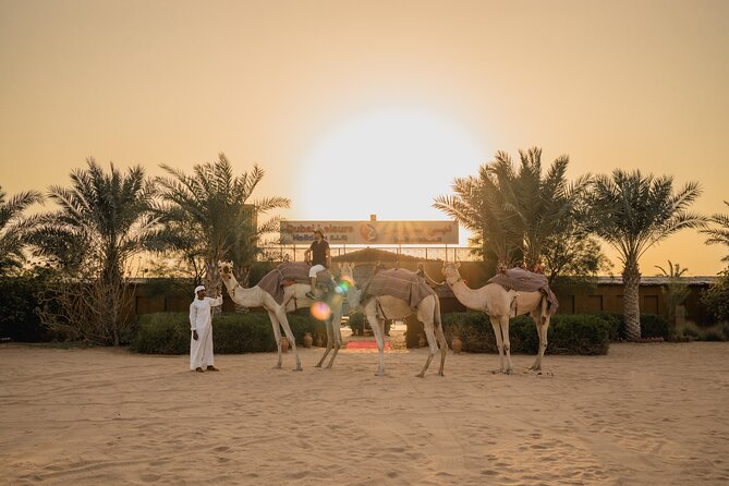 Adrenaline combo : Desert activities + ATV or Quad bike option - Price and value for groups of up to six
