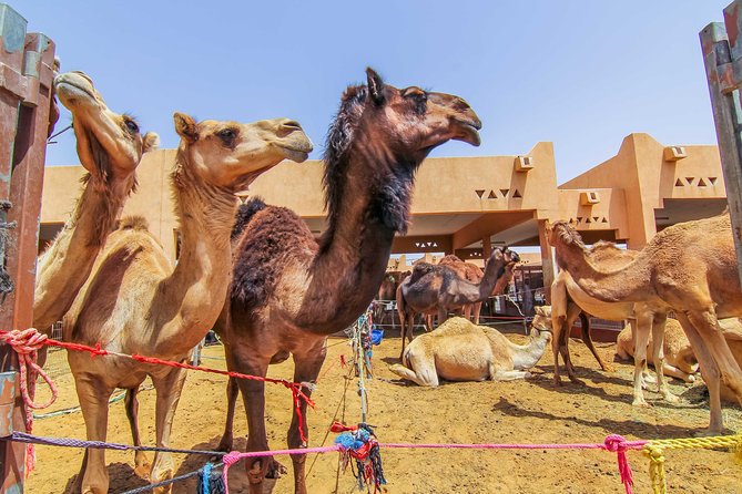 Al Ain City Sightseeing tour with Lunch from Dubai - Lunch at a four-star hotel