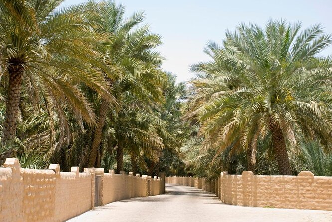 Al Ain City Sightseeing tour with Lunch from Dubai - Jebel Hafeet and the hot springs