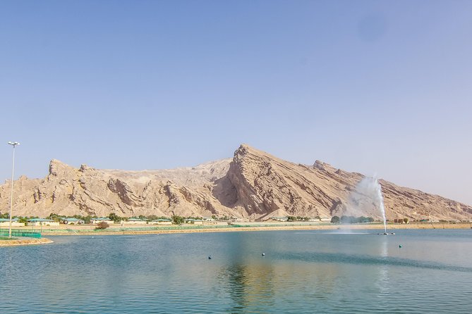 Al Ain City Sightseeing tour with Lunch from Dubai - The guide can shape the whole day