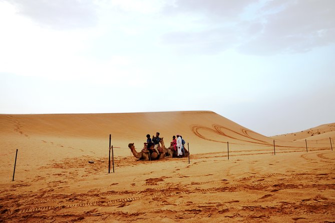 Al Ain Desert Safari with Buffet Dinner - Who will enjoy this five-hour safari