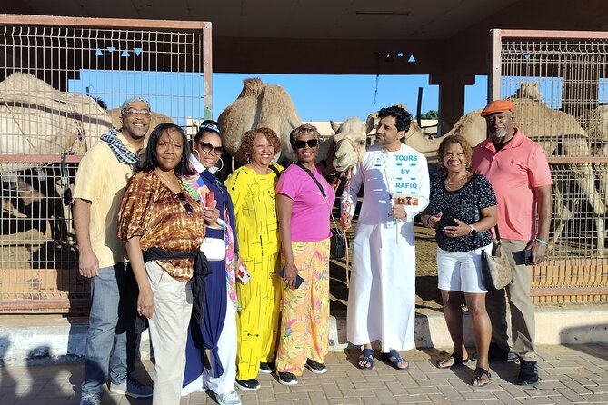 Al Ain Full Day City Tour From Dubai, the Birthplace of Country - Al Ain Oasis and the ancient falaj system