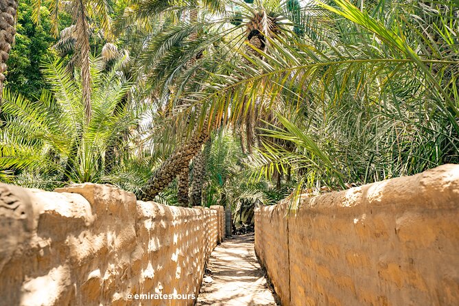 Al Ain Full Day Trip from Abu Dhabi with Lunch - Camel racing, livestock, and the food market