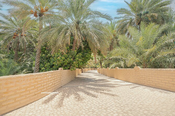 Al Ain Full Day Trip from Abu Dhabi with Lunch - Jebel Hafeet delivers the day’s biggest view