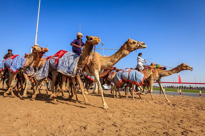 Al Ain Tour from Abu Dhabi - The long road from Abu Dhabi to Al Ain