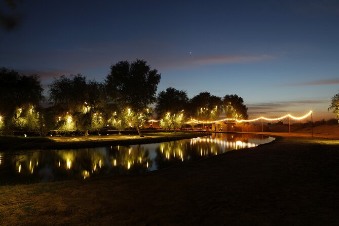Al Marmoom Oasis Experience with Bedouin Dinner - Key points to know before booking