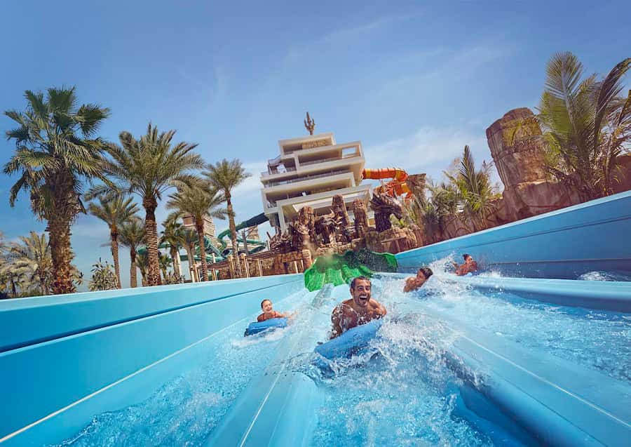 Aquaventure World: Dolphin Paddle and Waterpark Day Pass - What happens during the 30-minute session
