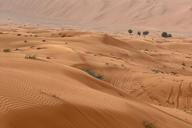 Arabian Dune Buggy Adventure - Who will enjoy this most?