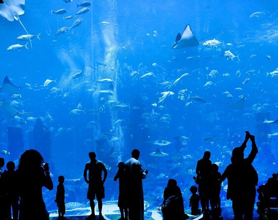 Atlantis Lost-Chamber Aquarium Dubai - Key things to know before booking