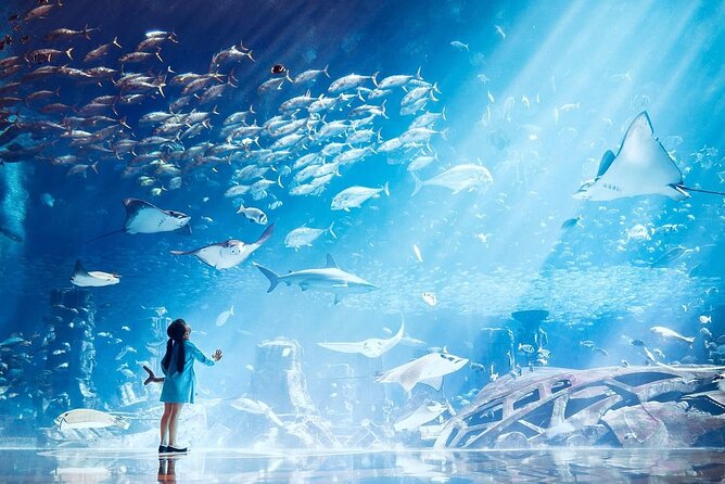 Atlantis Lost-Chamber Aquarium Dubai - The Ambassadors Lagoon and major tanks
