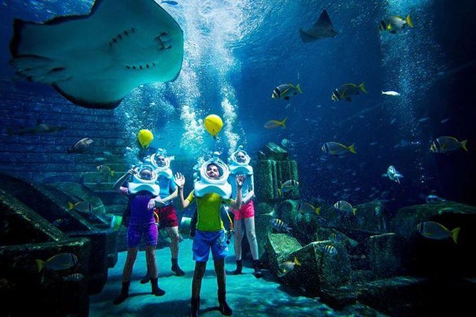 Atlantis Lost-Chamber Aquarium Dubai - Choosing your transport option