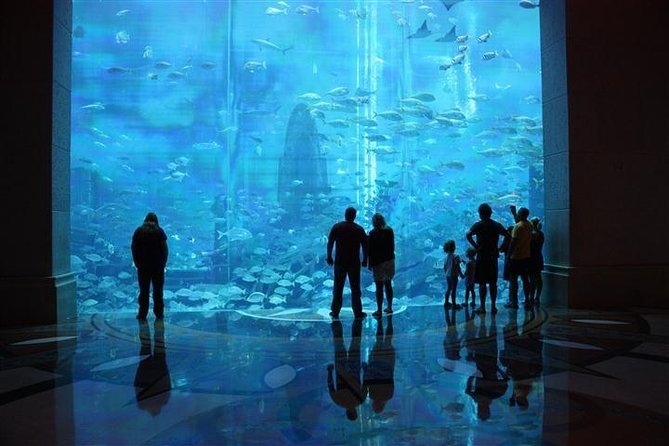 Atlantis Lost-Chamber Aquarium Dubai - Practical timing and planning advice