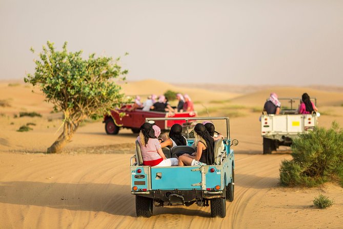 Authentic Safari in Vintage Land Rover with Traditional Dinner - A 60-minute vintage Land Rover nature drive