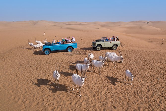 Authentic Safari in Vintage Land Rover with Traditional Dinner - The four-course Emirati dinner