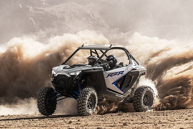 Buggy Ride Dubai & Dubai Desert Safari & Camel Ride with pickup - Who will get the most from this outing?
