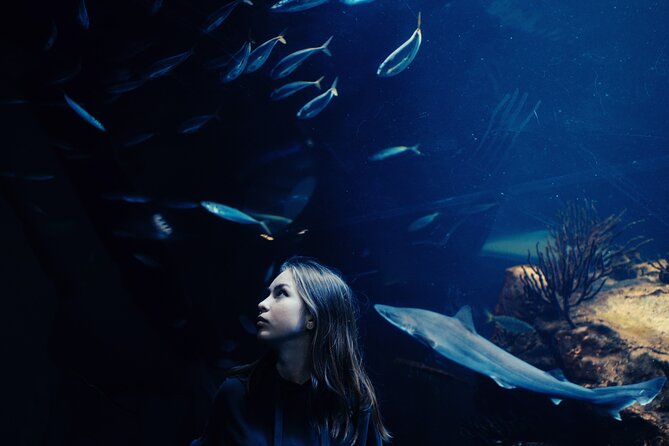 Burj Khalifa and Dubai Aquarium Combo Entrance Ticket - Inside Dubai Aquarium and Underwater Zoo