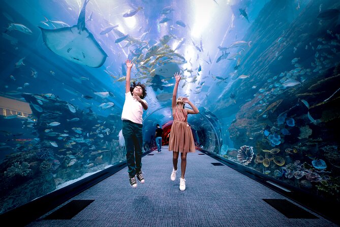 Burj Khalifa At the Top & Dubai Aquarium Combo Entrance Tickets - What the Burj Khalifa view is really worth