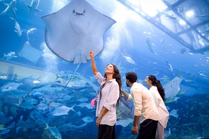 Burj Khalifa At the Top & Dubai Aquarium Combo Entrance Tickets - Planning the two stops without rushing