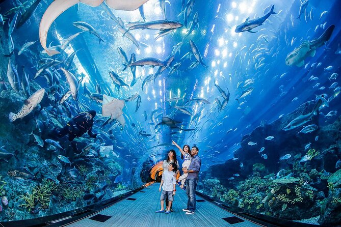 Burj Khalifa At The Top & Underwater Zoo Aquarium with Transfer - Why the private transfer matters