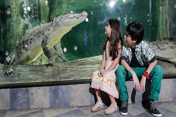 Burj Khalifa At The Top & Underwater Zoo Aquarium with Transfer - Who will get the most from this experience