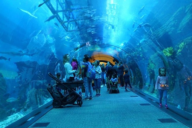 Burj Khalifa, Dubai Aquarium & UWZ with Penguin Cove Entry Ticket - Booking, changes, and practical cautions