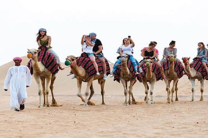 Camel Trekking and Morning Safari with Sand Boarding - Sunrise Views and Photo Stops