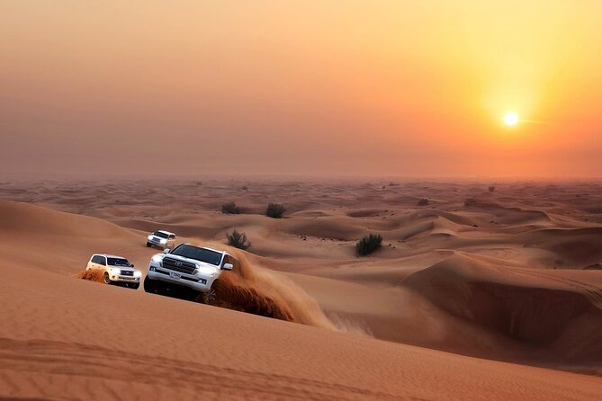 Camel Trekking Dubai with Dune Bashing and Sand Boarding - Key points at a glance