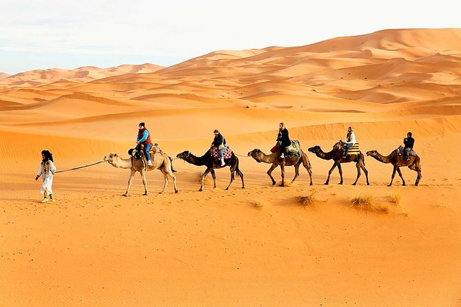 Camel Trekking Dubai with Dune Bashing and Sand Boarding - Dune bashing: the high-energy opening