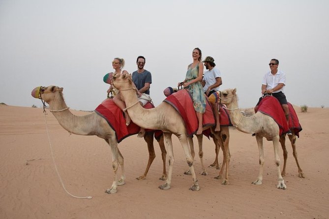 Classic Dubai Desert Safari with BBQ Dinner and Camp activities - Tanoura, fire, and belly-dance performances