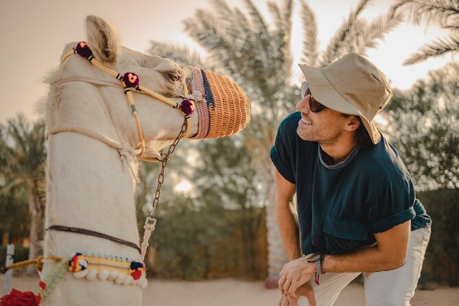 Combo:Deluxe Desert Safari with dinner + ATV self-drive/Quad Bike - Dinner is more than a basic buffet stop