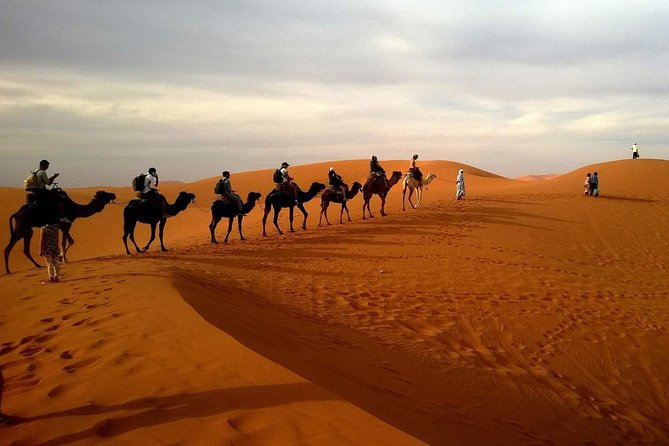 Combo Dubai City Tour and 4X4 Desert Safari with Dinner - Jumeirah Mosque and the Burj Al Arab photo stop