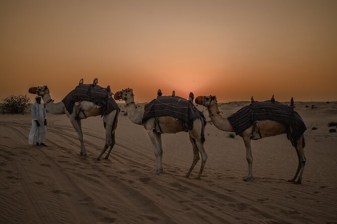 Combo:Private Desert Safari + dinner & ATV Self-drive/Quad Bike - What the quad-bike ride is really like