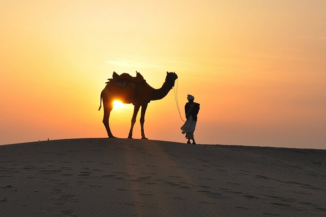 Deluxe Dubai Desert Safari with BBQ Dinner - Camel riding and sand boarding in small doses