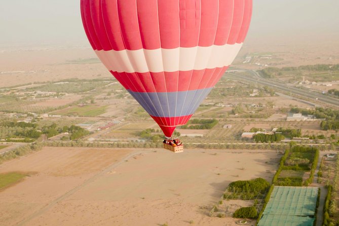Deluxe Hot Air Balloon Ride with Breakfast & Flight Falcon Show - The falcon presentation and its cultural value