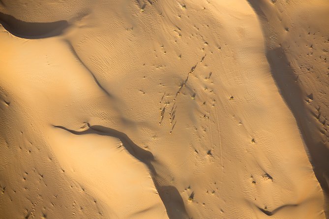 Deluxe Hot Air Balloon Ride with Breakfast & Flight Falcon Show - The short camel ride inside camp