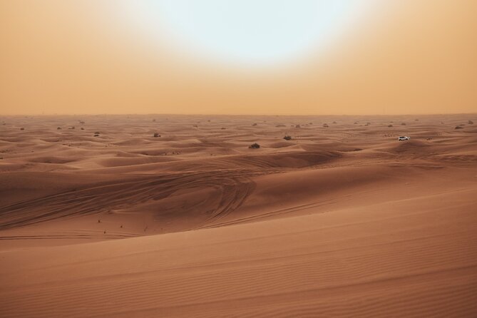 Deluxe Sunset Desert Safari: SandSurfing, Camel Ride & BBQ dinner - Sandboarding and the golden-hour photo stop