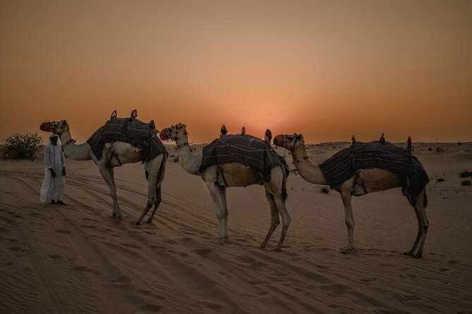 Deluxe Sunset Desert Safari: SandSurfing, Camel Ride & BBQ dinner - Thirty minutes of Red Dune bashing