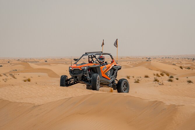 Desert Buggy Tours in Dubai - Desert views, wildlife, and time away from the engine