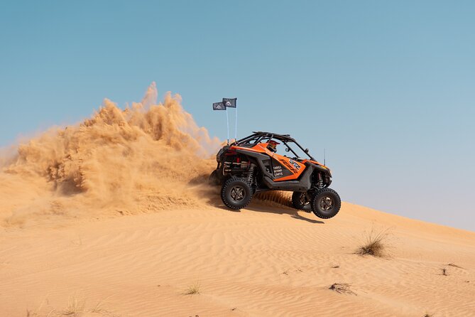 Desert Buggy Tours in Dubai - Who will enjoy this desert buggy tour most