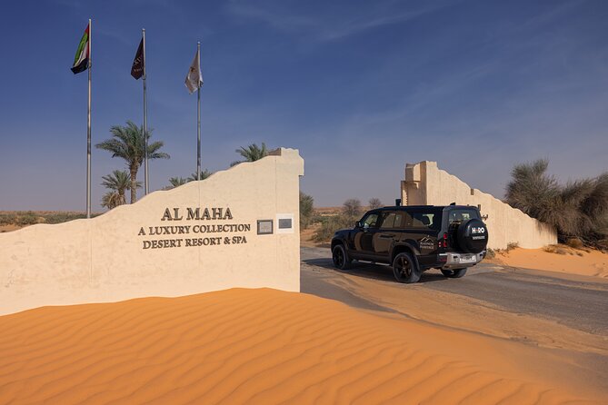 Desert Conservation Wildlife Drive & Breakfast at Al Maha Resort - How the guides shape the morning