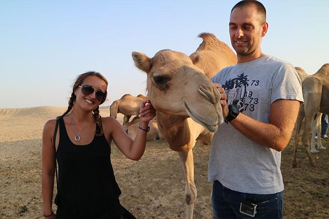 Desert Safari Abu Dhabi - What the $59 price really buys you