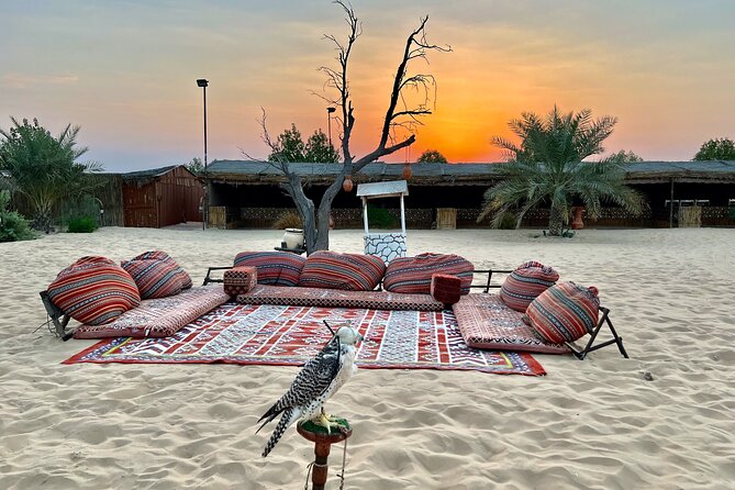Desert Safari Abu Dhabi w/ Sand Boarding, Camel Ride & BBQ Dinner - Sunset photos, sand boarding, and the short camel ride