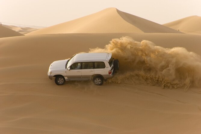Desert Safari Abu Dhabi w/ Sand Boarding, Camel Ride & BBQ Dinner - Camel farm and the first look at the dunes
