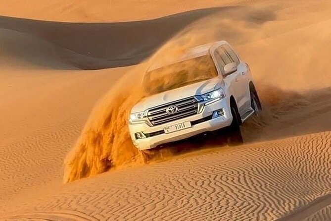 Desert Safari Abu Dhabi - Camel farms, desert roads, and the first photo stops