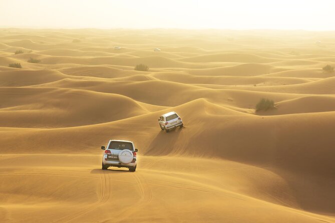Desert Safari Adventure Hotel Transfer Camel Ride with Quadbike - Desert Safari Adventure at a Glance