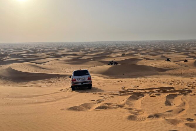 Desert safari adventure with BBQ dinner - Buffet BBQ dinner and drinks