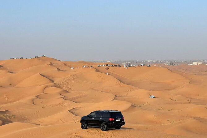 Desert safari adventure with BBQ dinner - What $23.99 really buys you