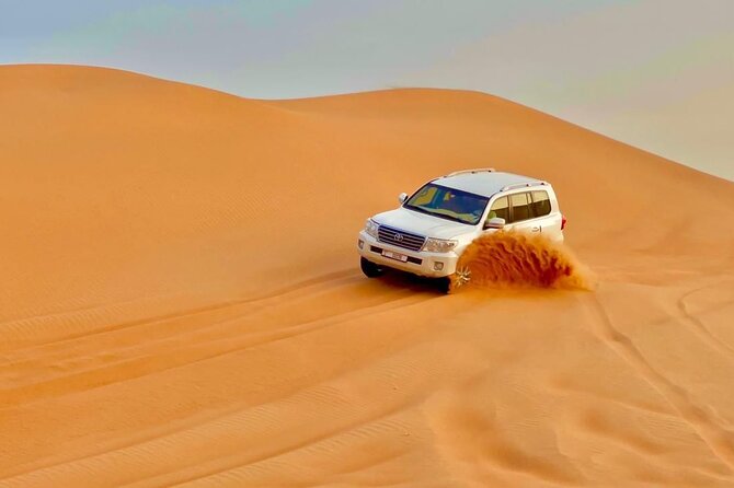 Desert safari adventure with BBQ dinner - Who will enjoy this desert safari most