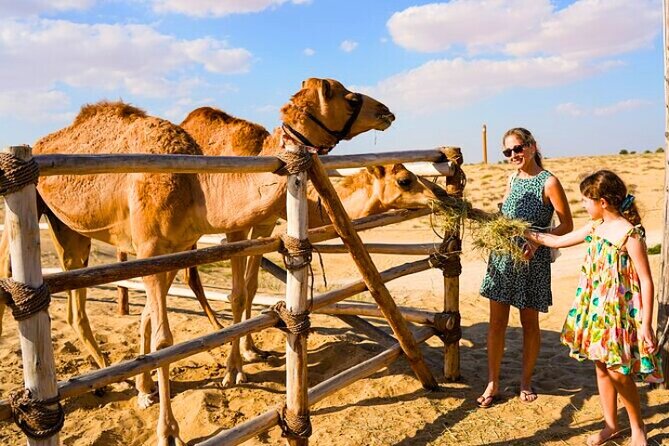 Desert Safari Dubai 30 Mins Quad Bike, Sand Board, Camel Ride BBQ - What $87.92 buys you